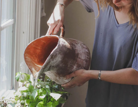 Guardería de Plantas - Nos llevamos las plantas