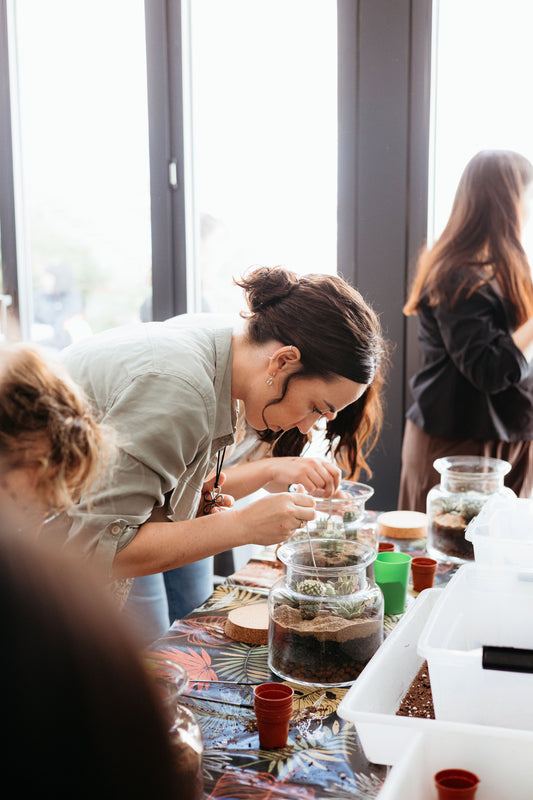 Taller de Terrario Desértico con Cactus y Suculentas en Madrid