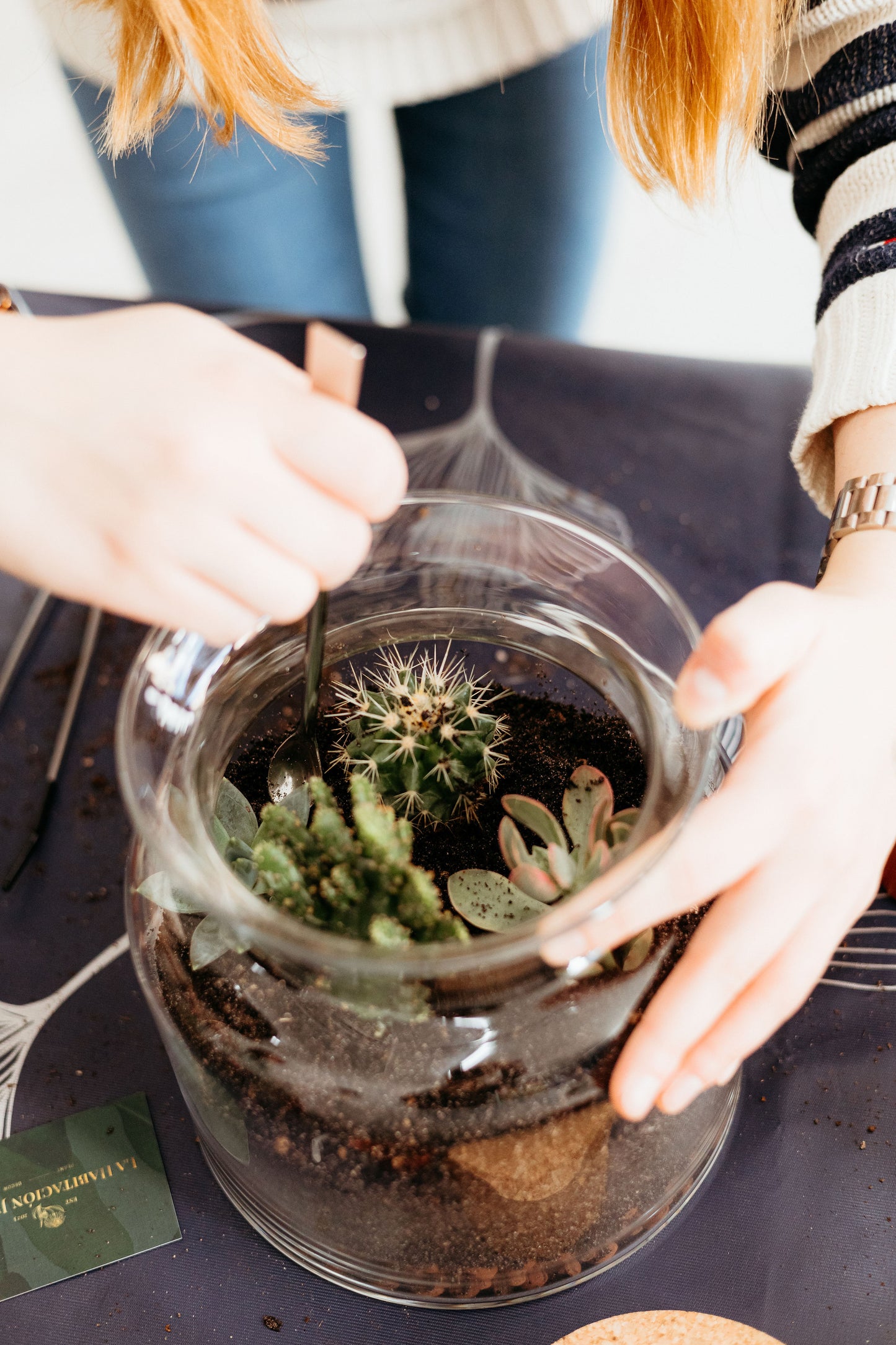 Desert Terrarium Workshop with Cactus and Succulents in Valencia