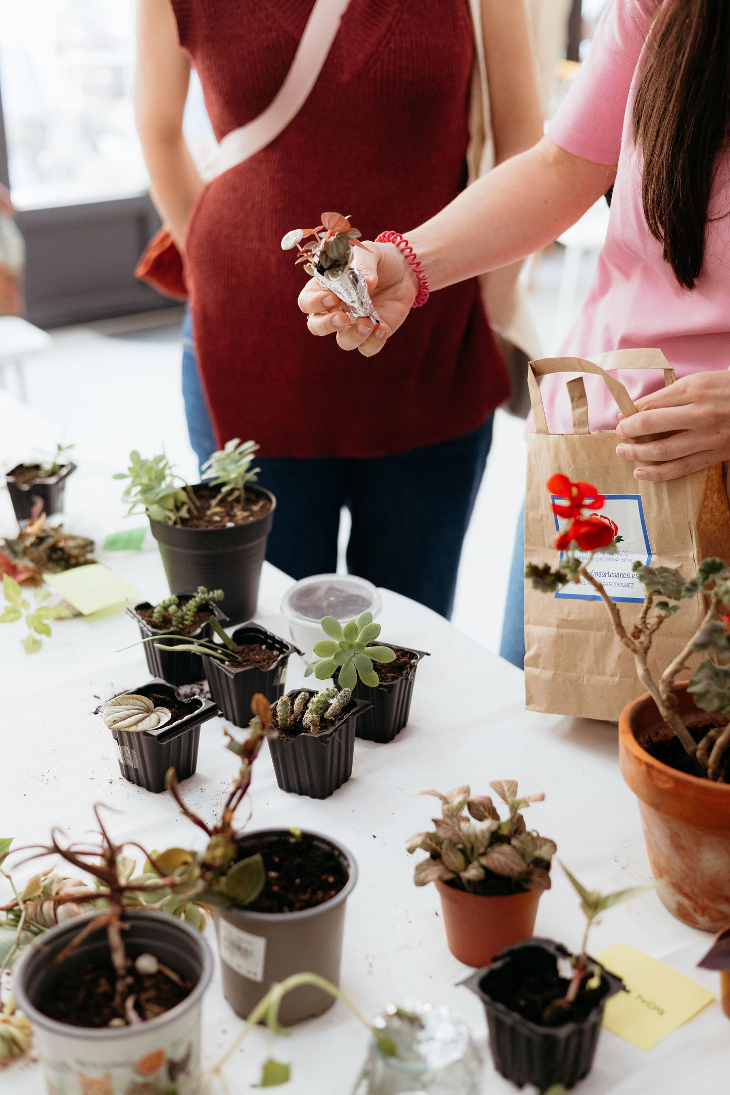 Plant Swap Madrid 2026