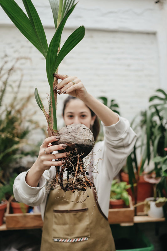 Taller de Cuidado de Plantas en Barcelona