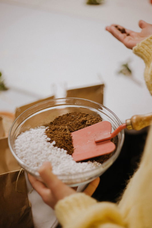 Taller de Cuidados de Plantas en Valencia