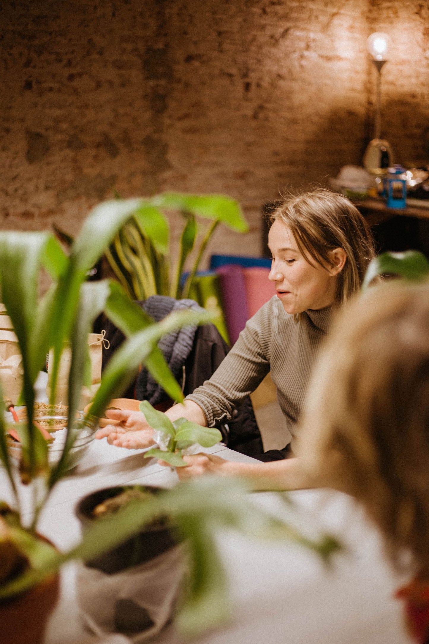 Taller de cuidados básicos de plantas en Barcelona