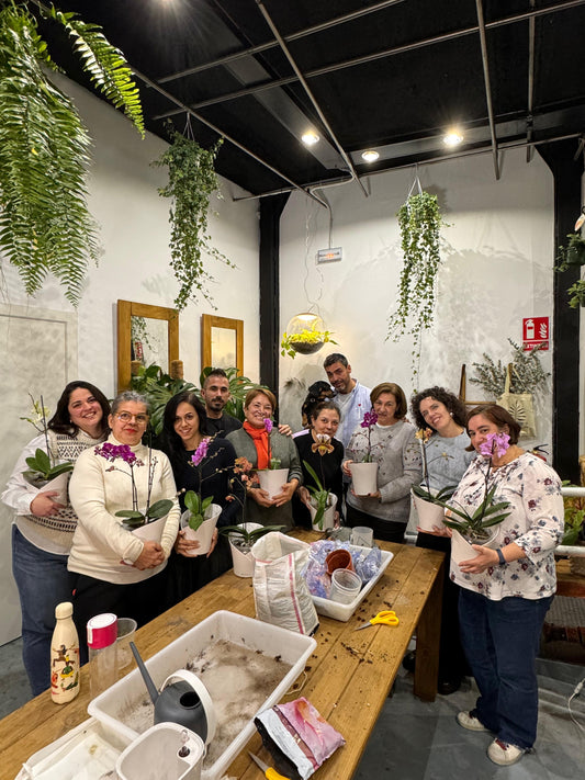 Taller de Cuidados de Orquídeas en Madrid