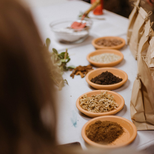 Taller de Cuidados de Plantas en Madrid
