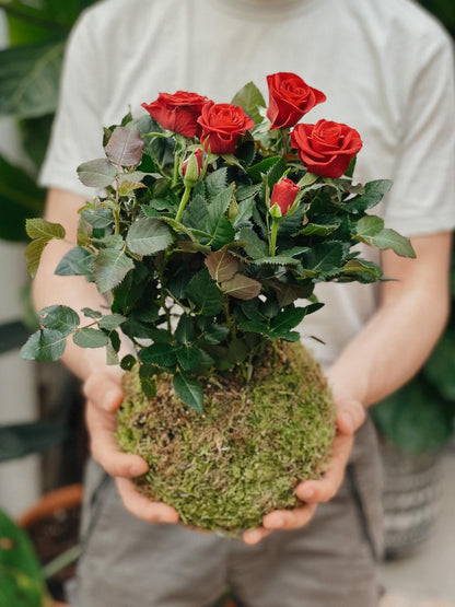 Taller de Kokedama en Barcelona