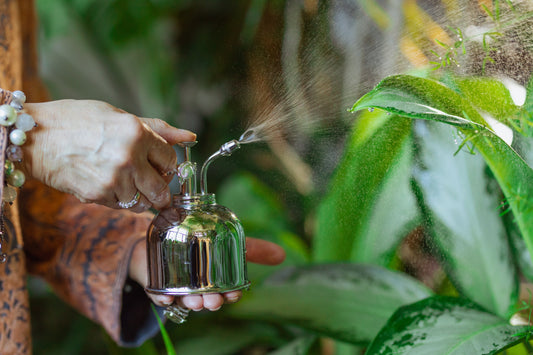 Guardería de Plantas - Nos llevamos las plantas