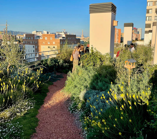 Aprende a construir cubiertas verdes con éxito