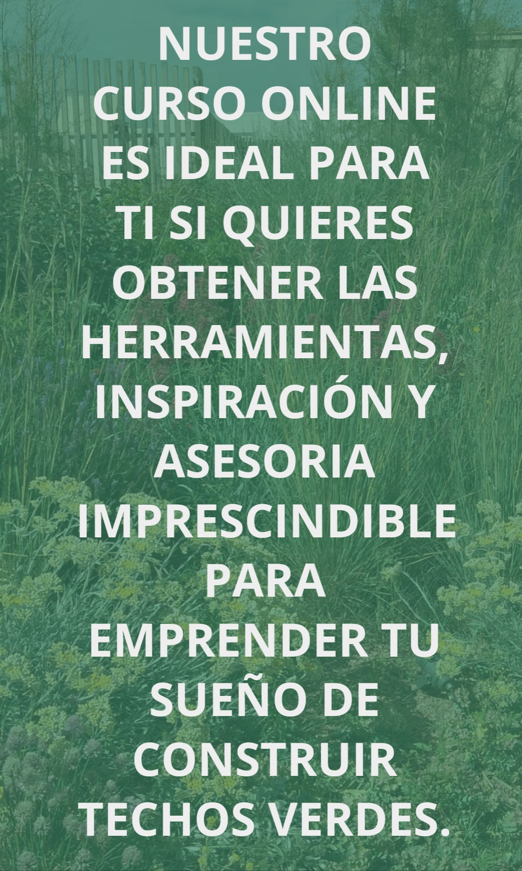 Aprende a construir cubiertas verdes con éxito