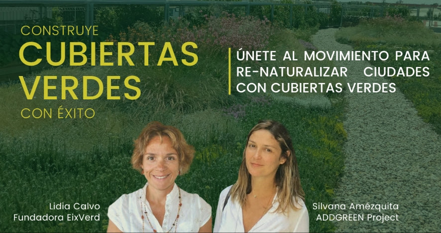 Aprende a construir cubiertas verdes con éxito