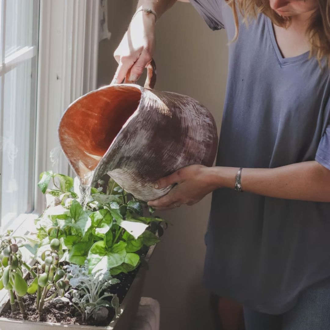 Curso de Jardinería para Principiantes: Plantas de Interior y Exterior