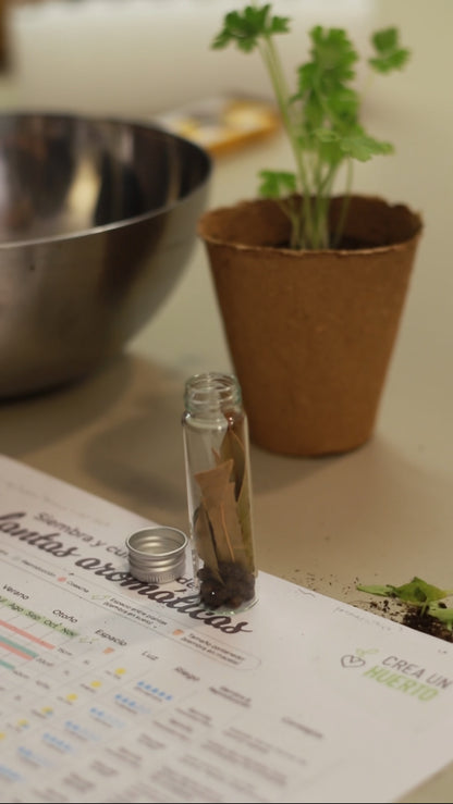 Aromatic Plants Workshop