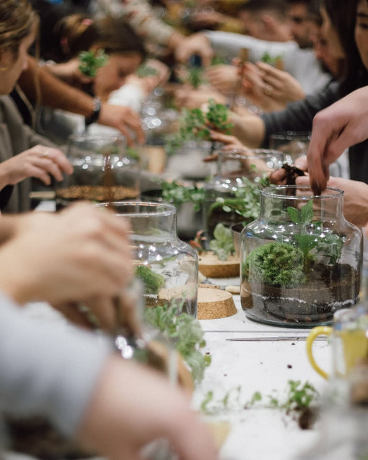 Taller de Terrario y Vino en Gràcia, Barcelona