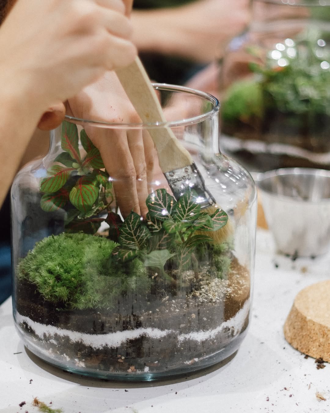 Taller de Terrario y Vino en Gràcia, Barcelona