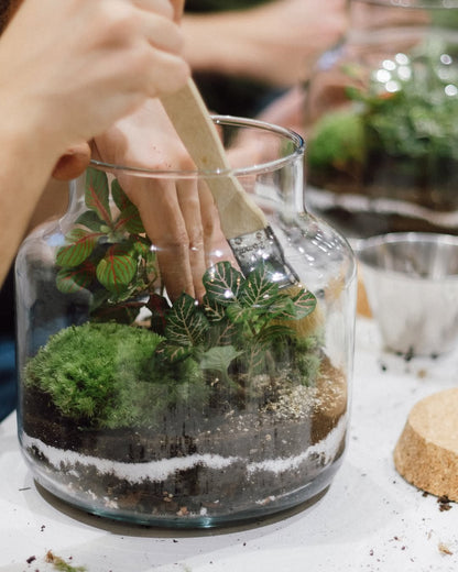 Taller de Terrario y Vino en Gràcia, Barcelona