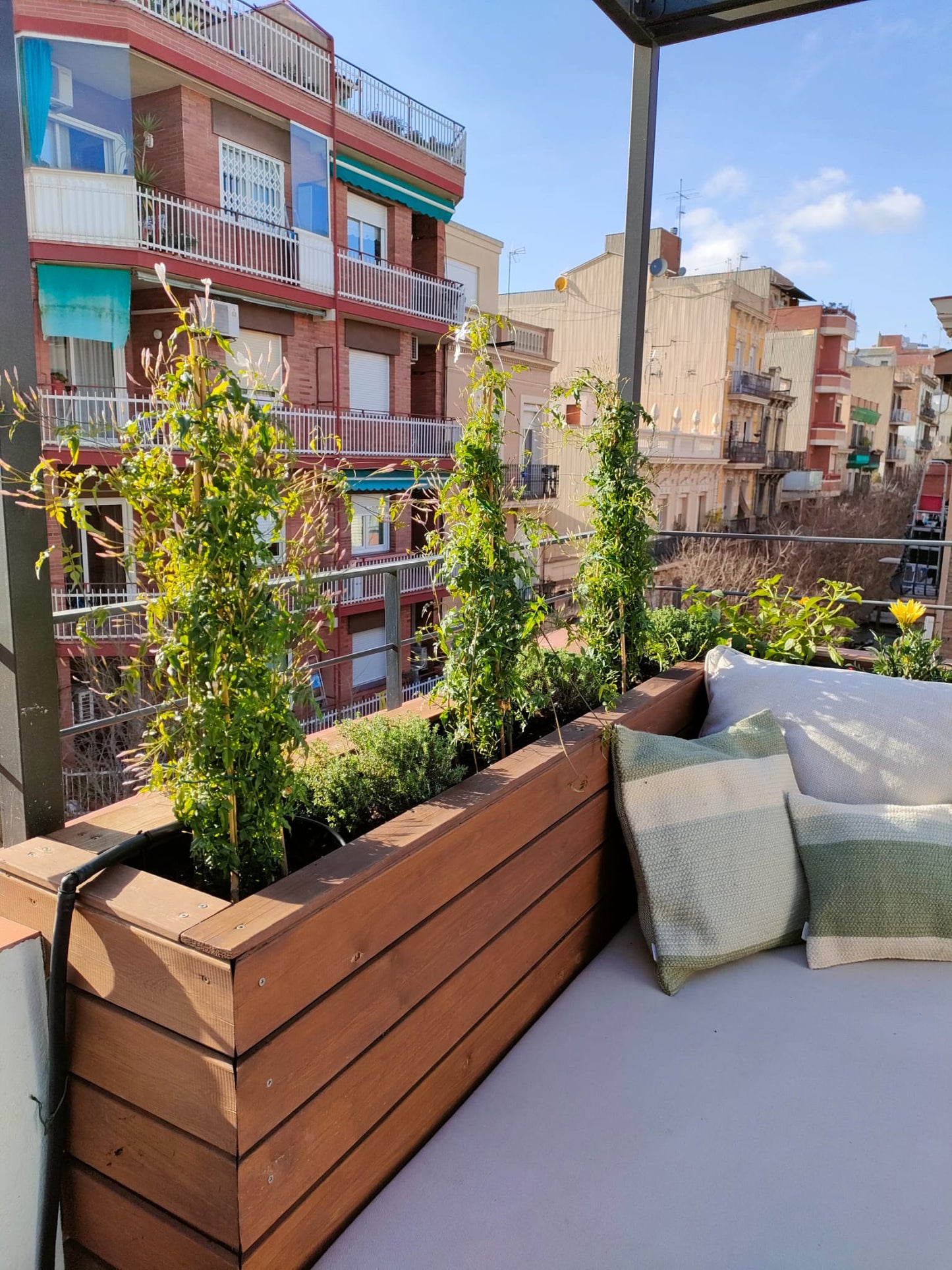 Servicios intensivos de jardinería | Control de plagas