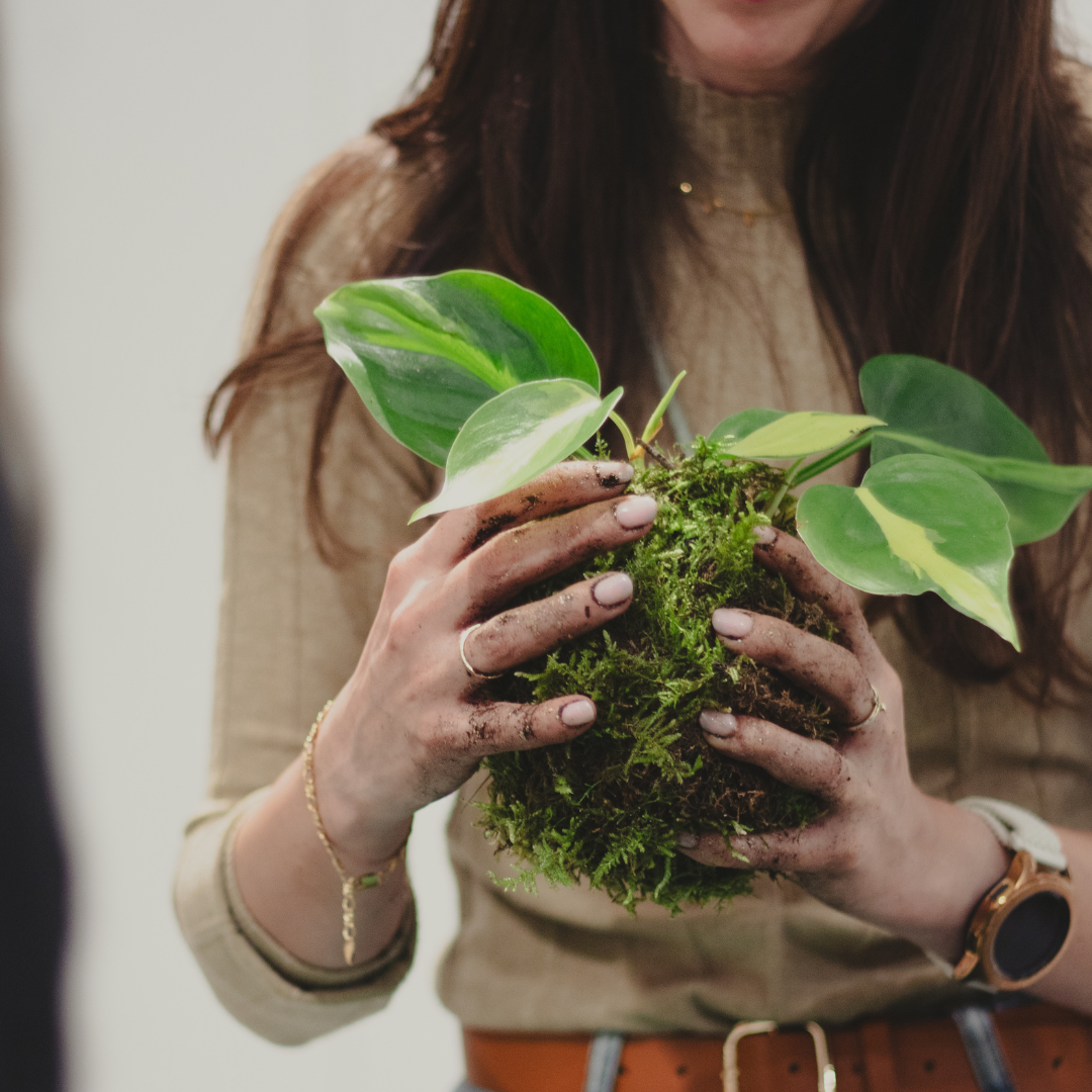 Taller de Kokedama en Valencia