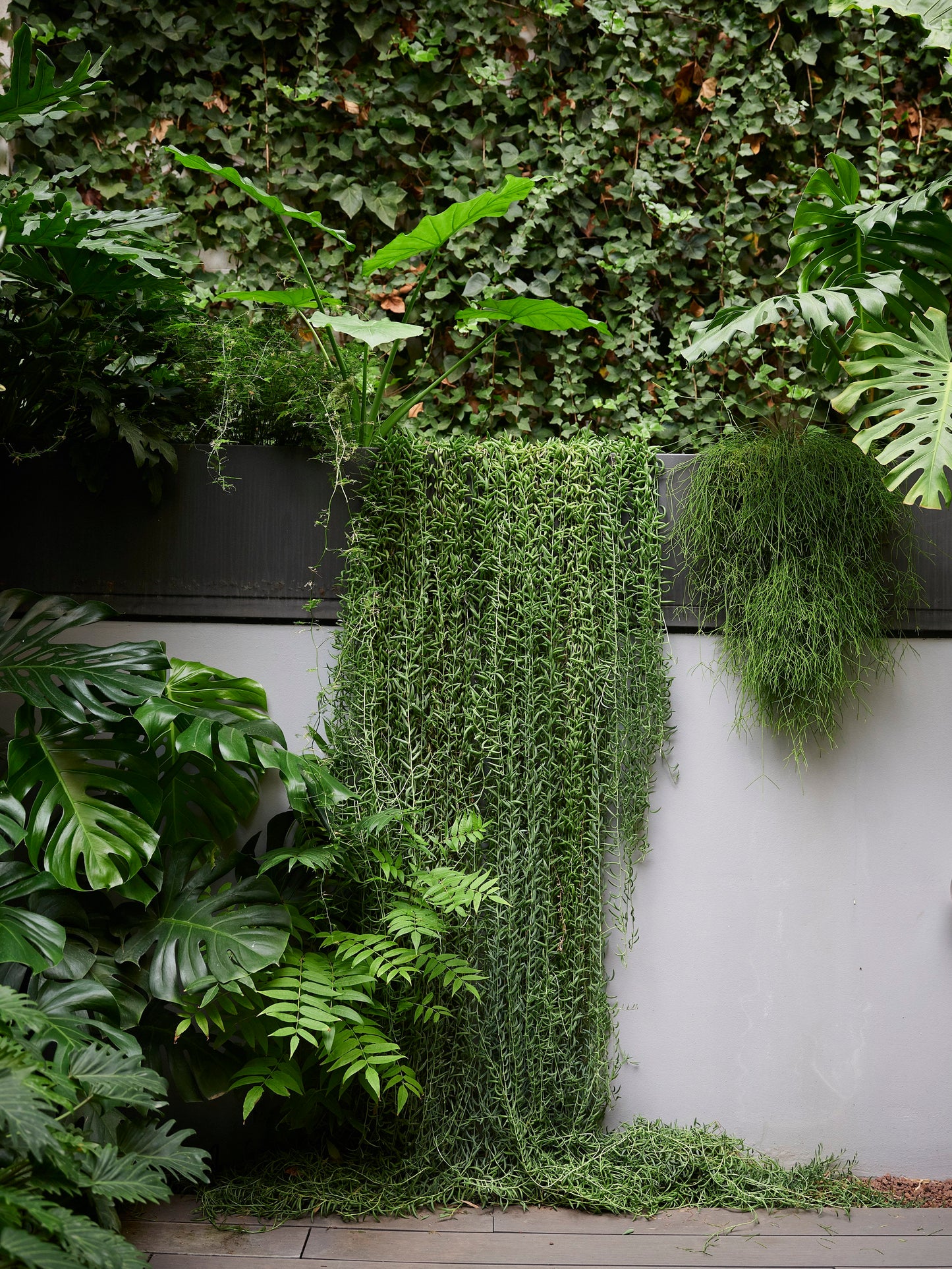 Masterclass: Diseño y planificación de jardines en terrazas y balcones