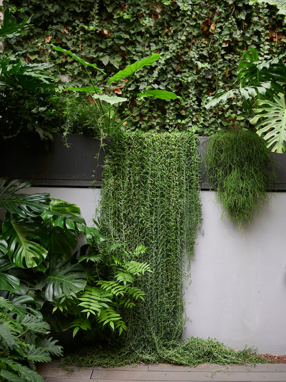 Masterclass: Diseño y planificación de jardines en terrazas y balcones