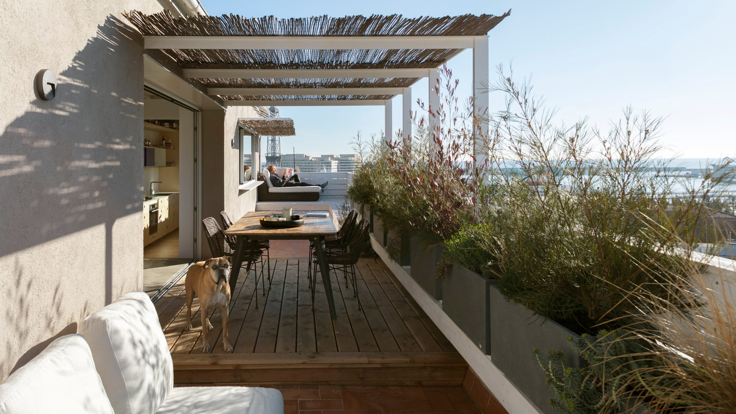 Masterclass: Diseño y planificación de jardines en terrazas y balcones