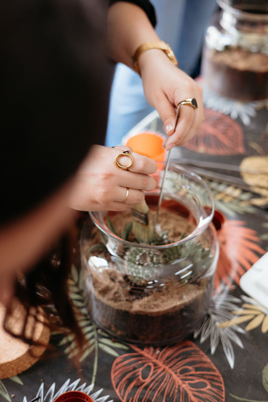 Desert Terrarium Workshop with Cactus and Succulents in Valencia