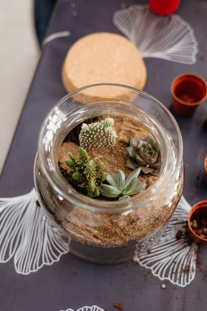 Desert Terrarium Workshop with Cactus and Succulents in Valencia