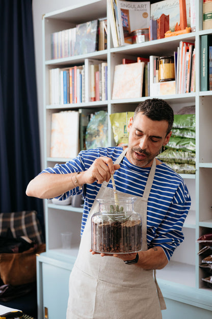 Taller de Terrario Desértico con Cactus y Suculentas en Madrid