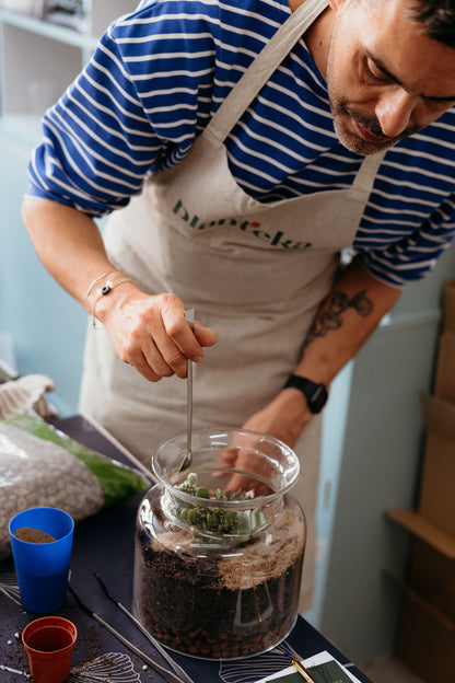 Taller de Terrario Desértico con Cactus y Suculentas en Madrid