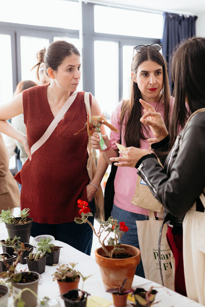 Plant Swap Madrid 2026
