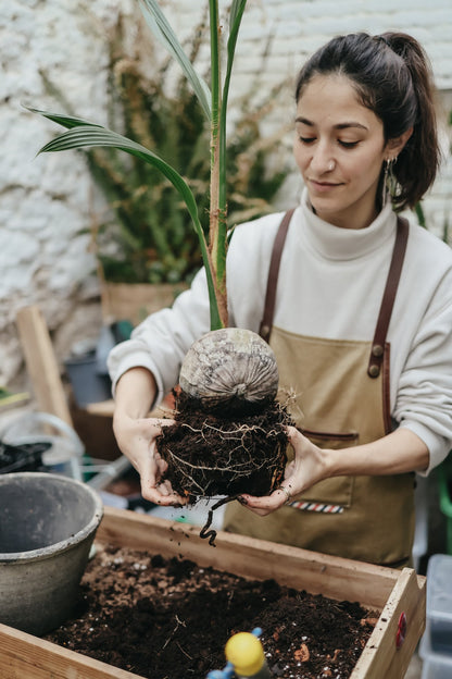 Taller de Cuidado de Plantas en Barcelona