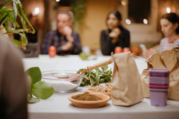 Taller de cuidados básicos de plantas en Barcelona