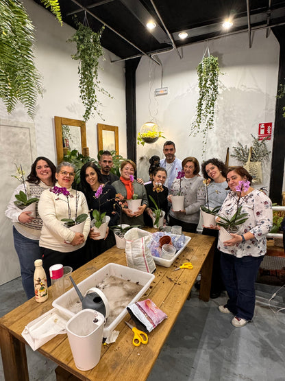 Taller de Cuidados de Orquídeas en Madrid
