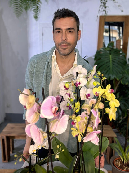 Taller de Cuidados de Orquídeas en Madrid