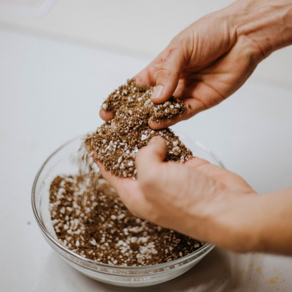 Taller de Cuidados de Plantas en Madrid