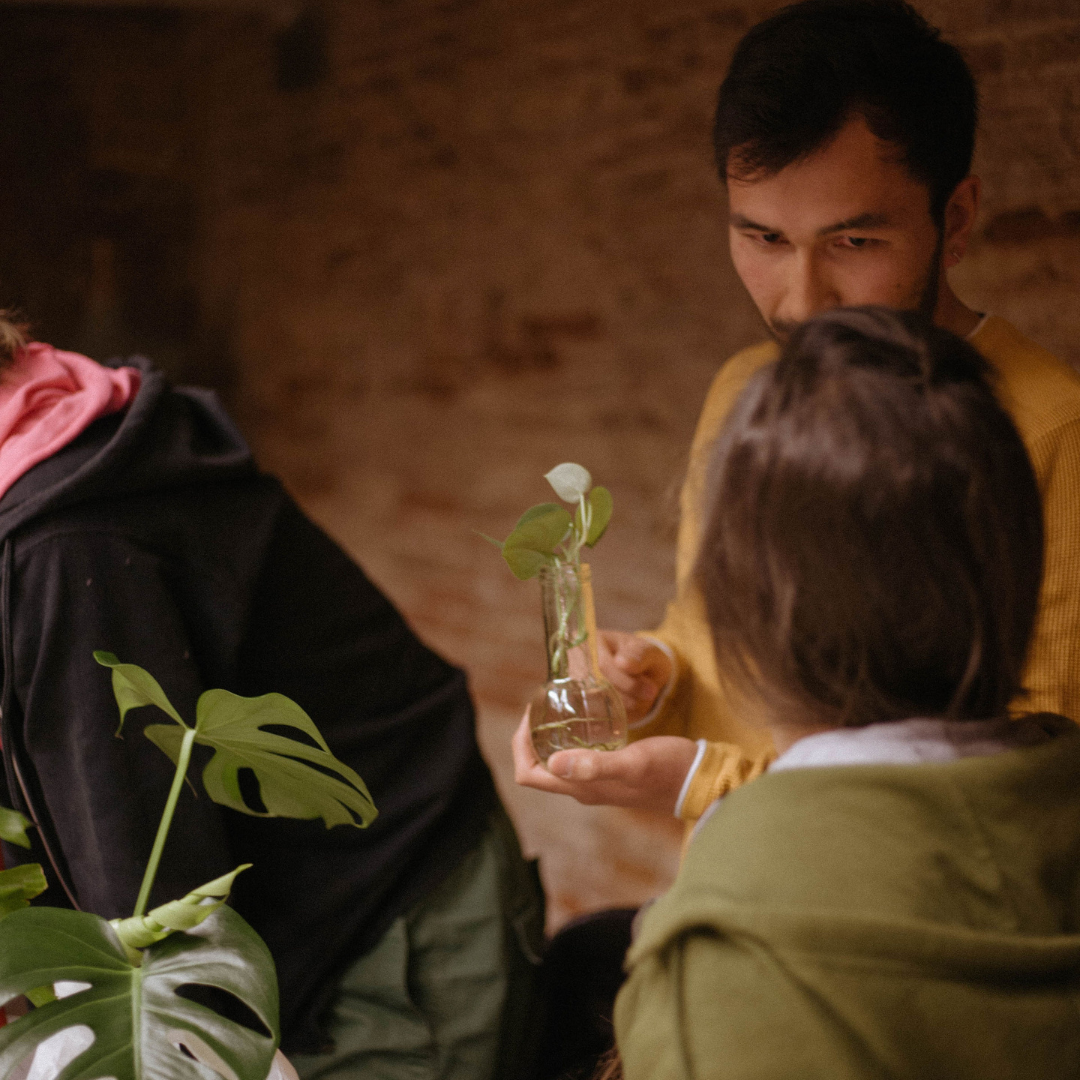 Taller de Cuidados de Plantas en Madrid