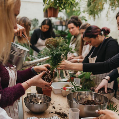 Taller de Kokedama en Barcelona