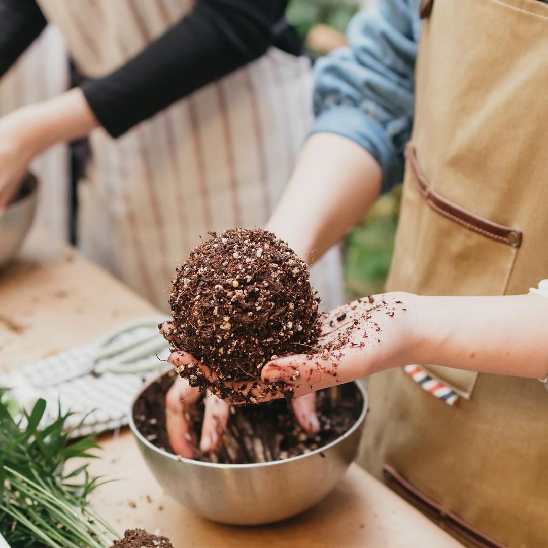 Taller de Kokedama en Barcelona