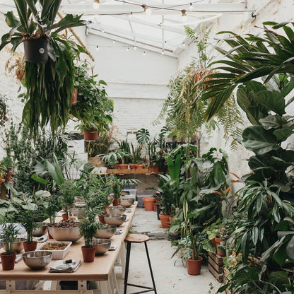 Taller de Kokedama en Barcelona