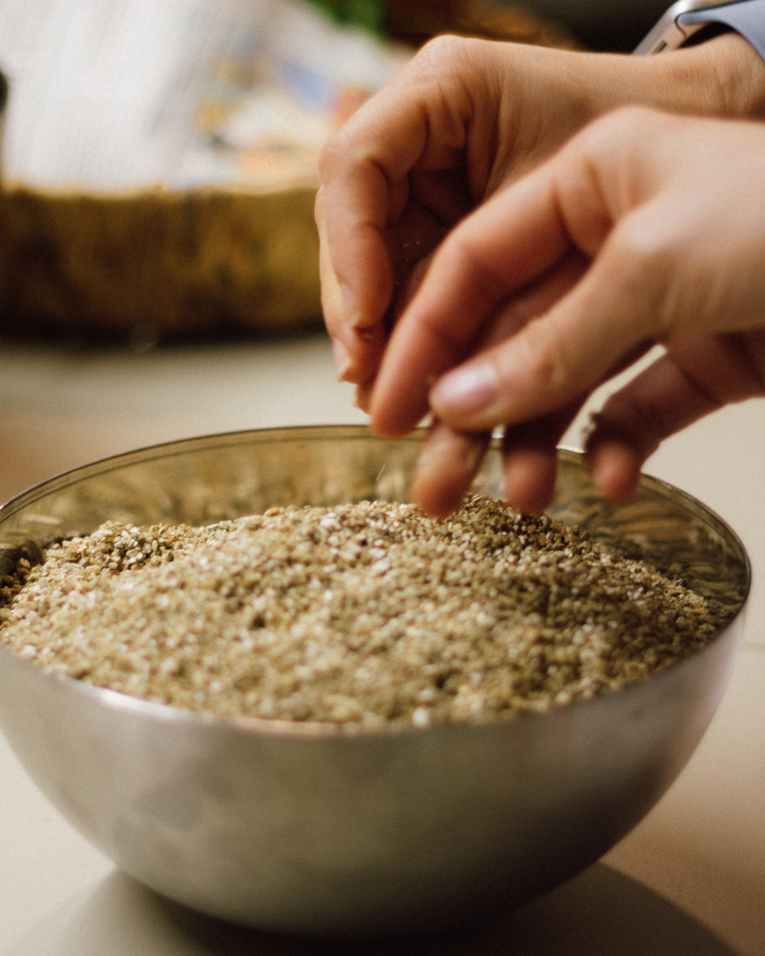 Taller de Plantas Aromáticas