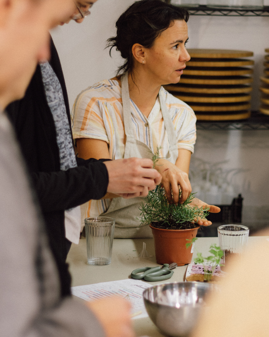 Taller de Plantas Aromáticas