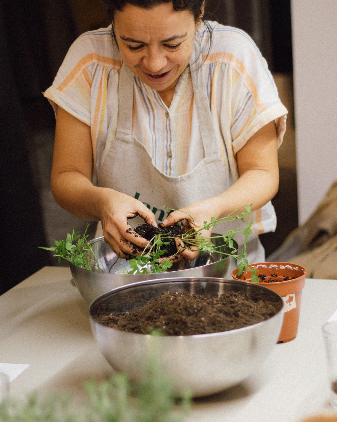Taller de Plantas Aromáticas