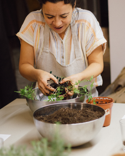 Taller de Plantas Aromáticas