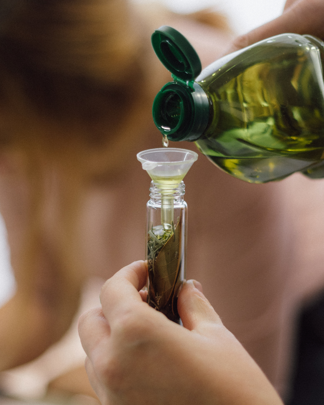 Taller de Plantas Aromáticas