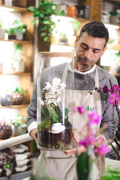 Premium Terrarium Workshop with Exotic Plants in Madrid