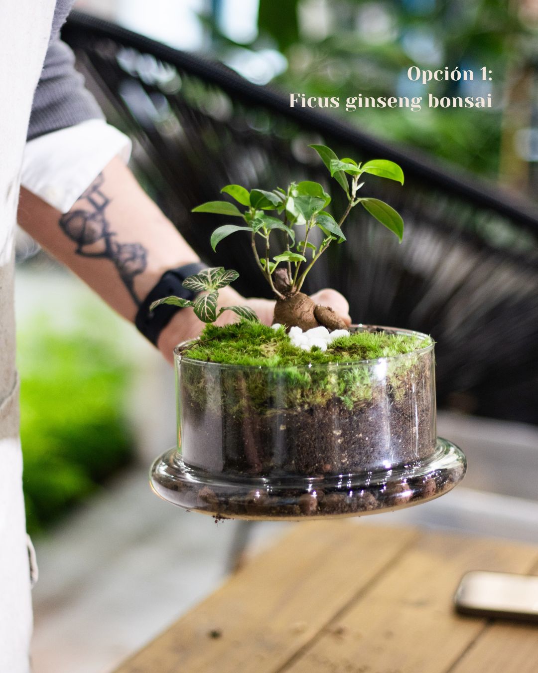 Premium Terrarium Workshop with Exotic Plants in Madrid