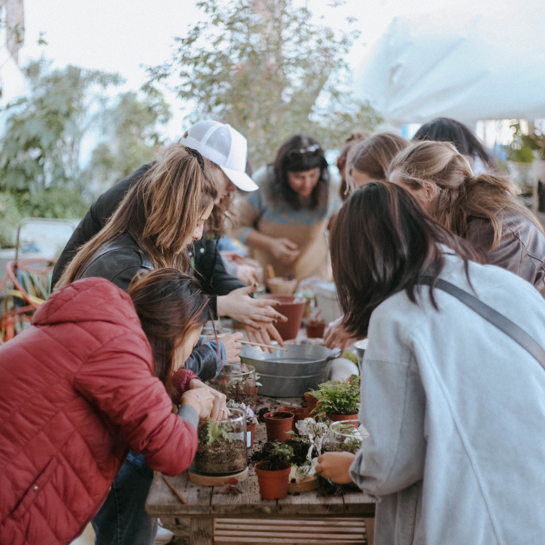 Taller de Terrario en Barcelona