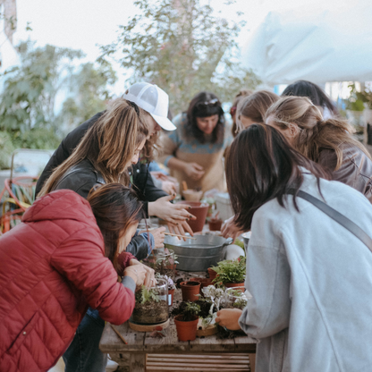 Taller de Terrario en Barcelona