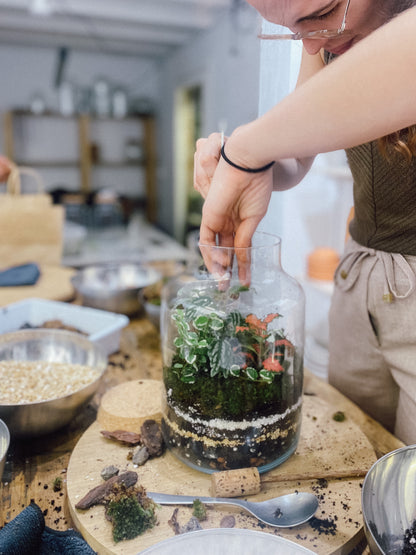 Taller de Terrario en Barcelona
