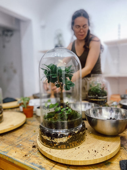Taller de Terrario en Barcelona
