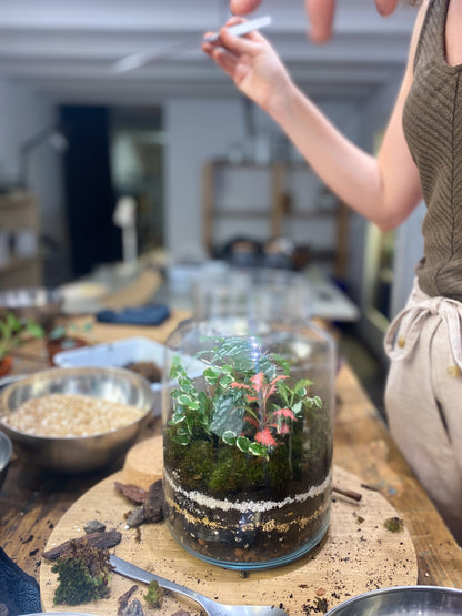 Taller de Terrario en Barcelona